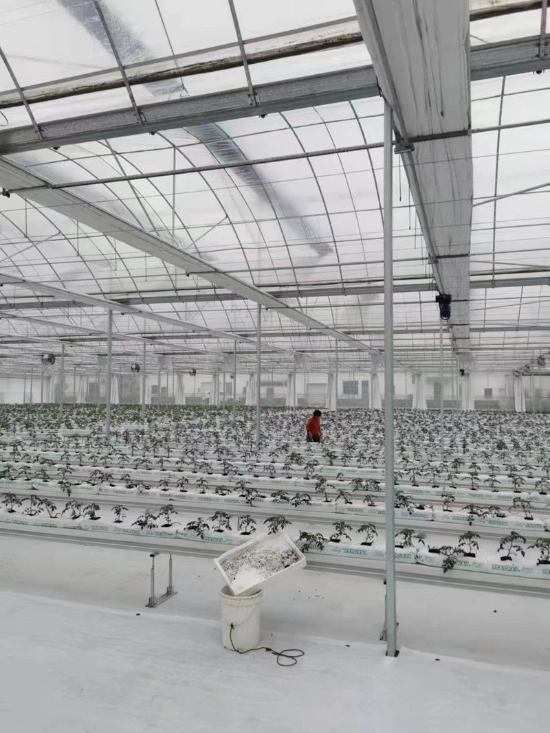 Fengzhiyuan Greenhouse