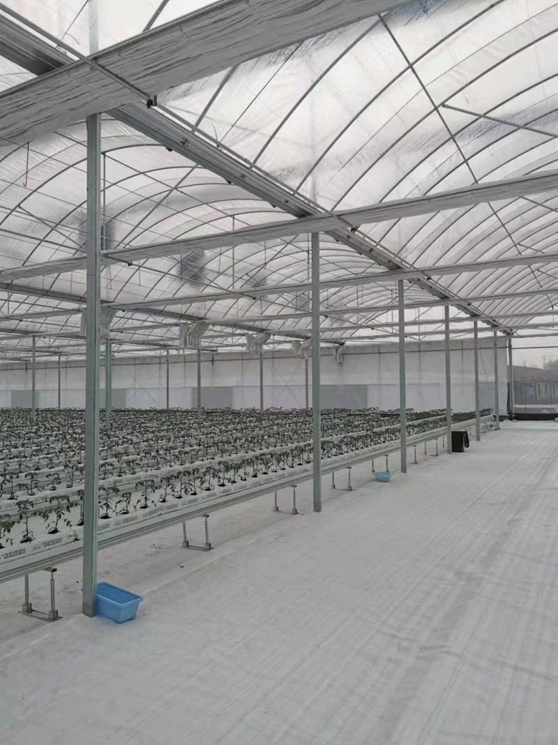 Fengzhiyuan Greenhouse