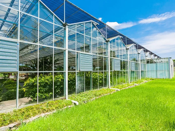 The advantages of greenhouse
