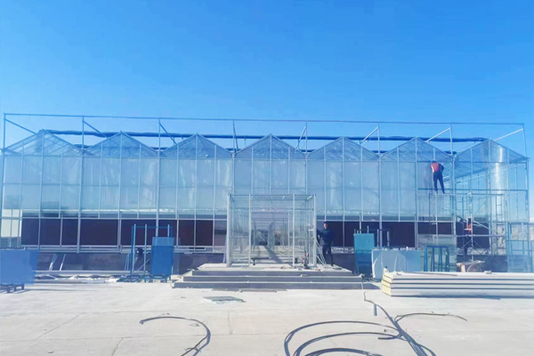 American Glass Greenhouse