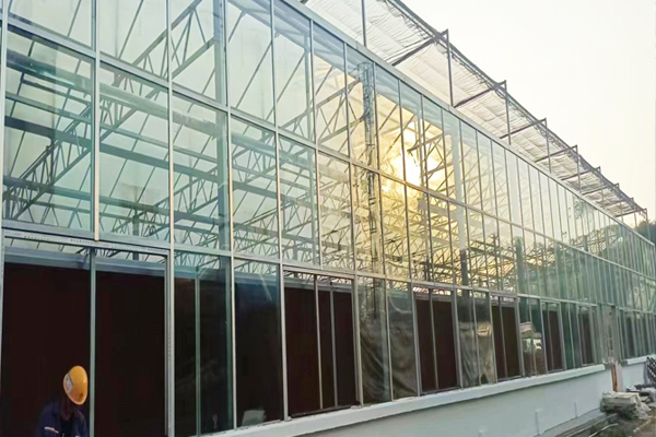 Australian Glass Greenhouse